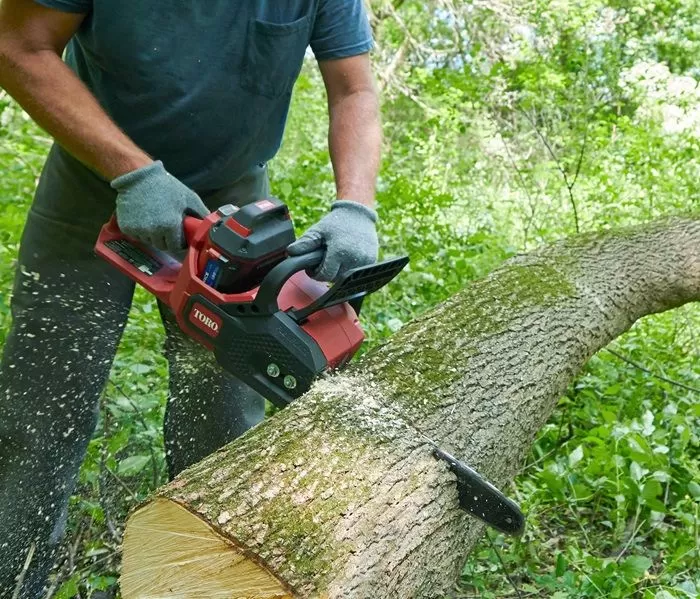 16" Electric Chainsaw with 60V MAX* Battery Power (51850)