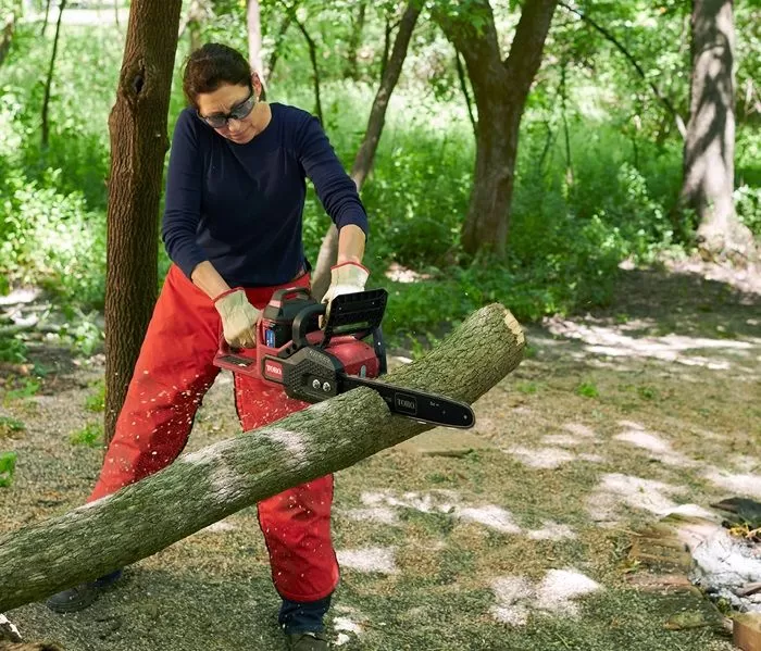 16" Electric Chainsaw with 60V MAX* Battery Power (51850)