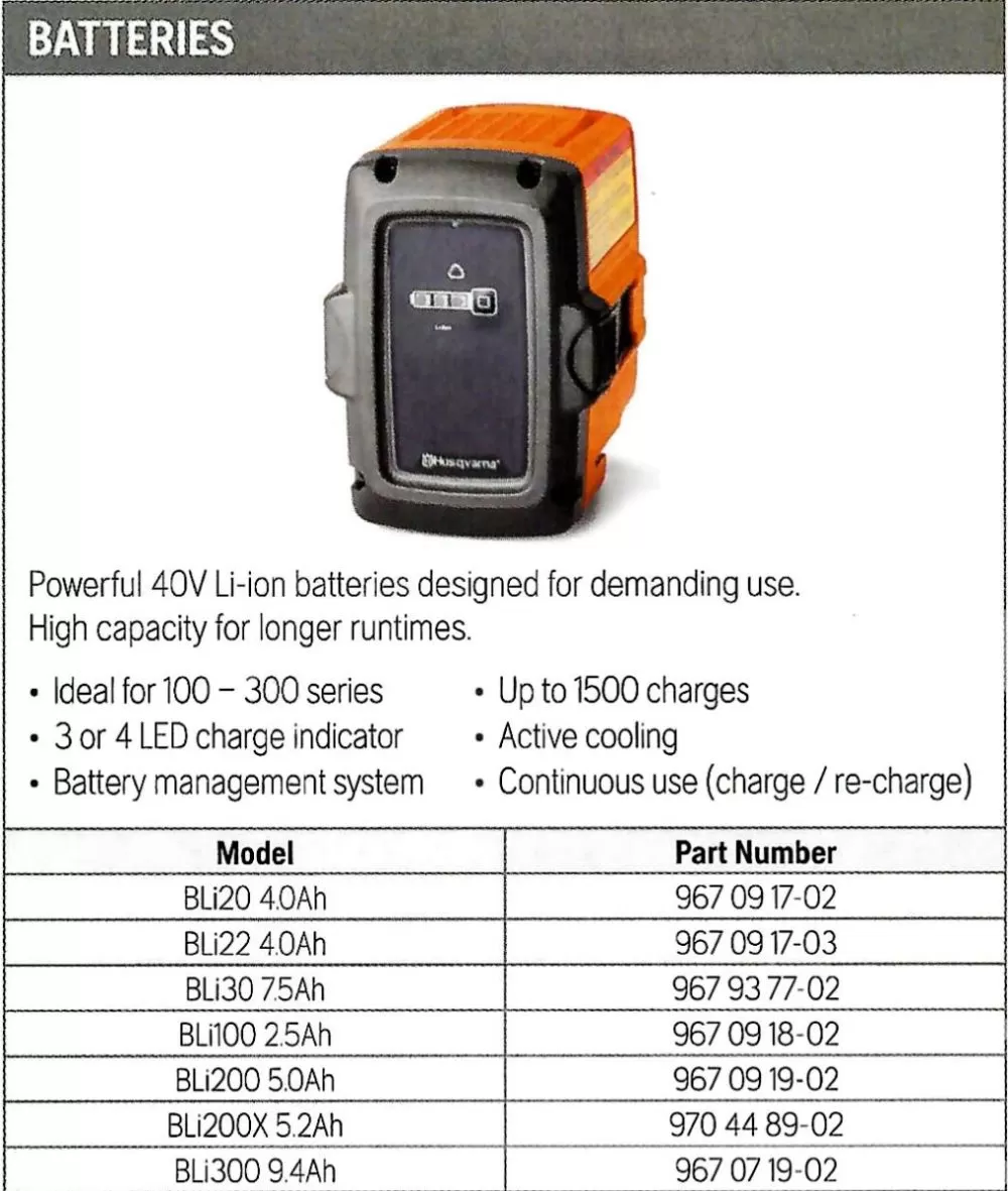 BLi20 4.2AH Battery